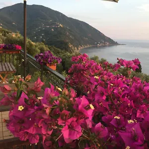  Bed & Breakfast Rosse Italy